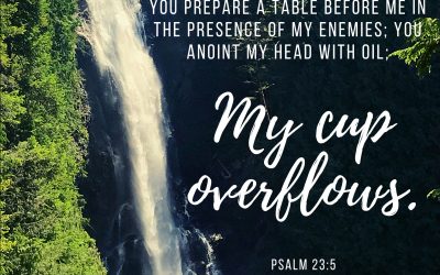 My Cup Overflows – Psalm 23:5